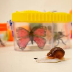 Bug Catcher Kit Bundle 27pcs -Popfun DSC 1047