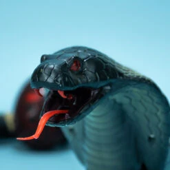 Remote Control Snake Toy For Kids -Popfun F 2472