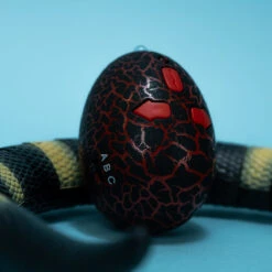 Remote Control Snake Toy For Kids -Popfun F 2473