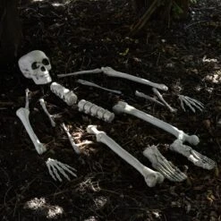 Bag Of Bones -Popfun bag of bones 281536