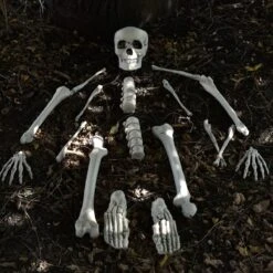 Bag Of Bones -Popfun bag of bones 510910