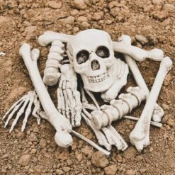 Bag Of Bones -Popfun bag of bones 964402