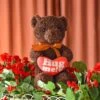 Brown Teddy Bear Stuffed Animal -Popfun brown teddy bear stuffed animal 931634
