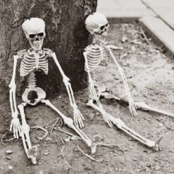 Hanging Skeleton Decorations -Popfun hanging skeleton decorations 180191