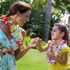 Hawaiian Leis Necklace Bracelets Party Pack 60pcs -Popfun hawaiian leis necklace bracelets party pack 60 pcs 177451