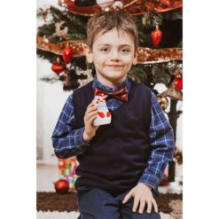 North Pole Squishies -Popfun north pole squishies 115724