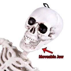 Posable Hanging Skeleton -Popfun posable hanging skeleton 114126