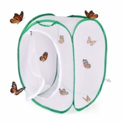 Rectangular Butterfly Habitat Hamper