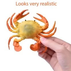 Realistic Sea Animals Bath Toys 18pcs -Popfun sea animals bath toys 18pcs 260666