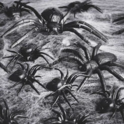 Spider Collection -Popfun spider collection 767804