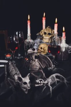 Tiny Skeleton Collection -Popfun tiny skeleton collection 509598