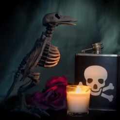 Tiny Skeleton Collection -Popfun tiny skeleton collection 814921