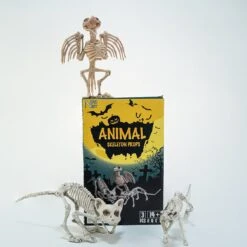 Tiny Skeleton Collection