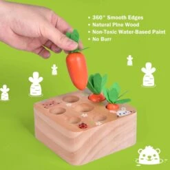 Wooden Carrot Toy Puzzle -Popfun wooden carrot toy puzzle 519903